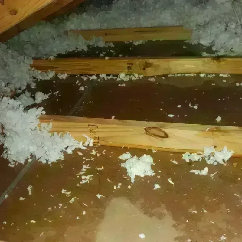 Attic Water Damage in Bradenton Beach, FL