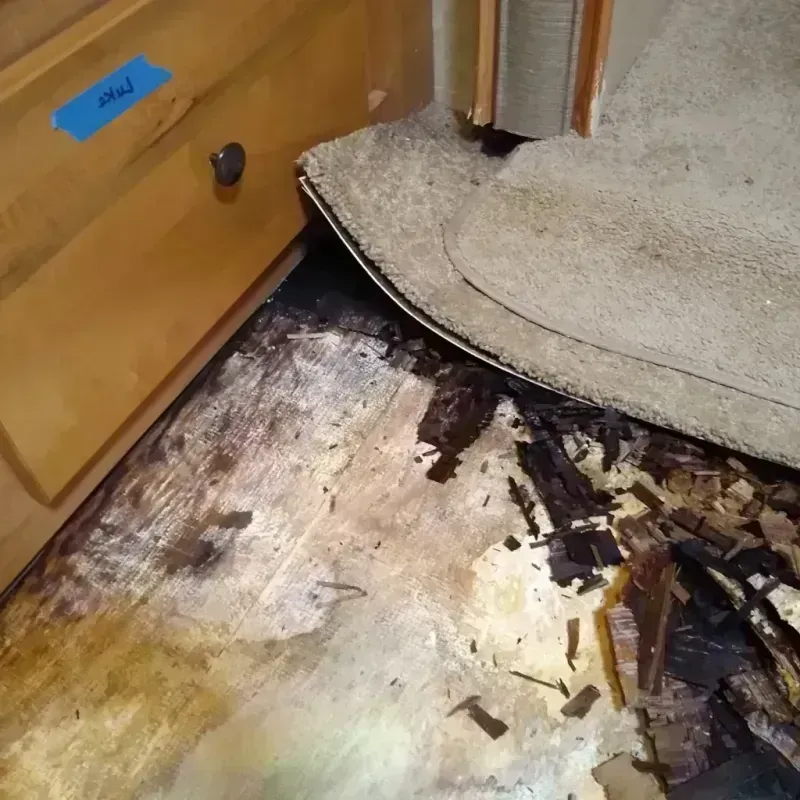 Best Wood Floor Water Damage Service in Bradenton Beach, FL